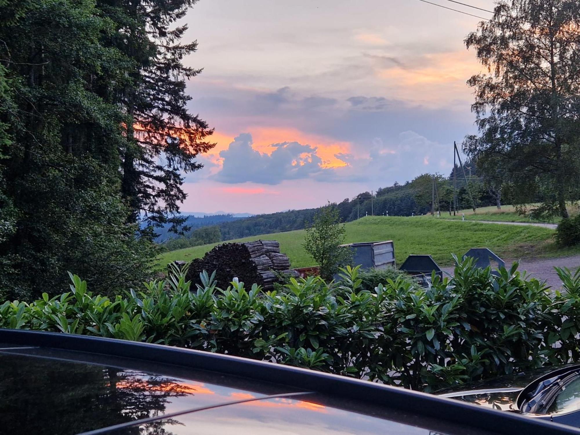 Ferien Im Schwarzwald Freiamt Hotel Exterior photo