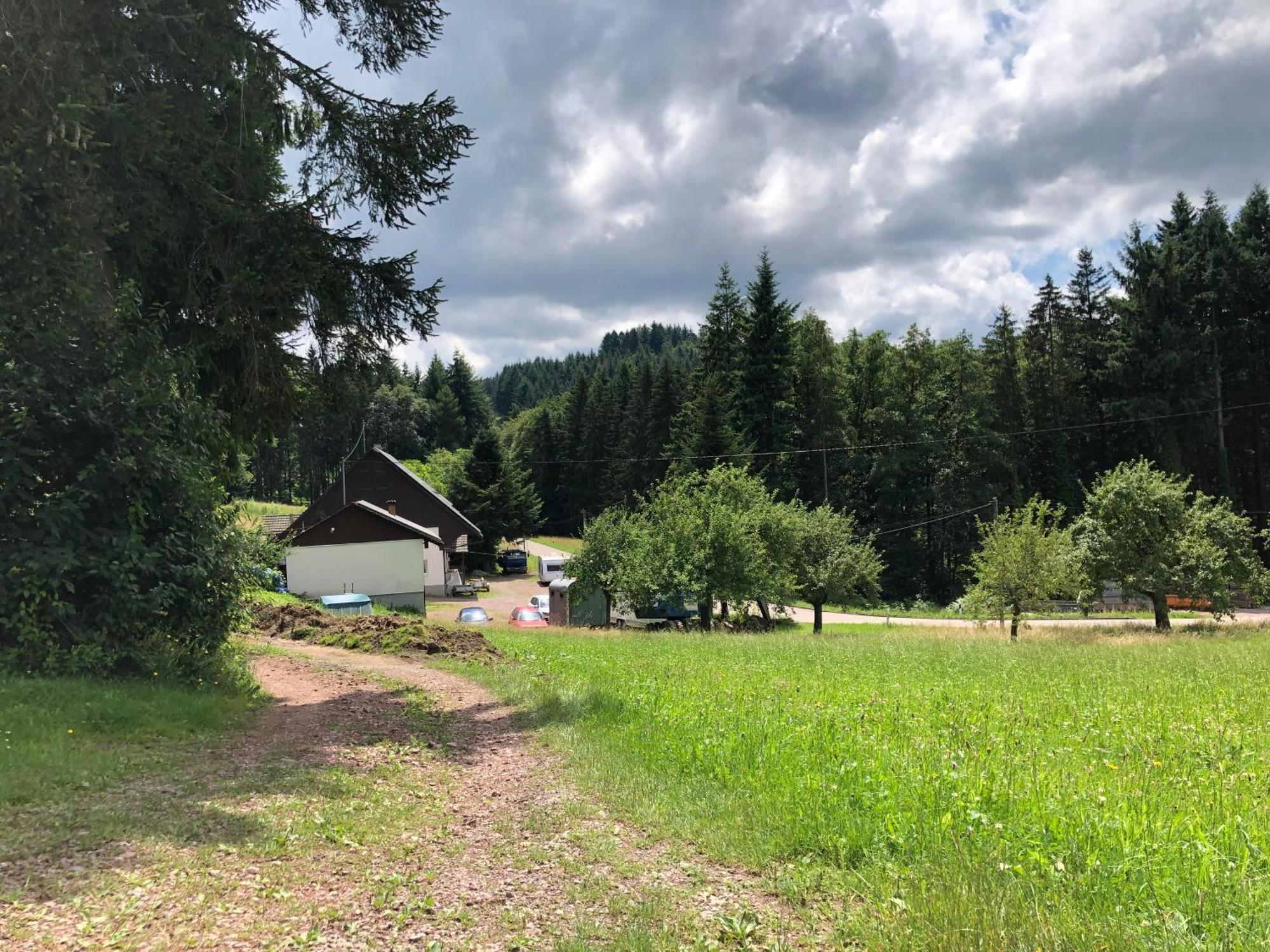 Ferien Im Schwarzwald Freiamt Hotel Exterior photo
